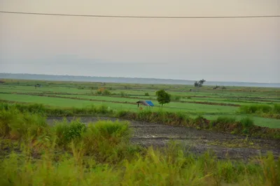 DSC_4210 (Large).JPG